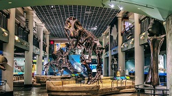 Inside the Academy of Natural Sciences