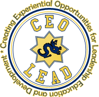 CEO LEAD Program