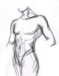 Sketch of the human body