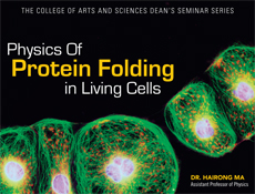Protein Folding