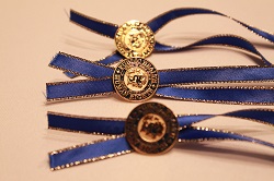 Dornsife pin stating a commitment to health and human rights