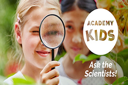 Children looking through magnifying glass