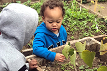 Two childrend working in a garden