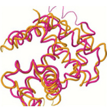 Bioinformatics Research at Drexel Biomed
