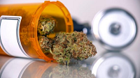medical marijuana