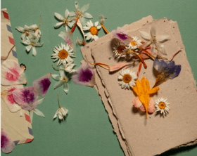 pressed flowers