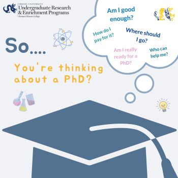 So You're Thinking About a PhD