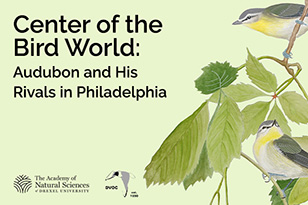 Center of the Bird World: Audobon and his rivals in Philadelphia