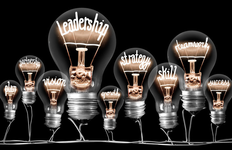 developmental leadership