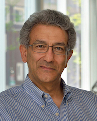 Dr. Nader Engheta