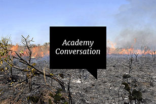 academy conversation fire