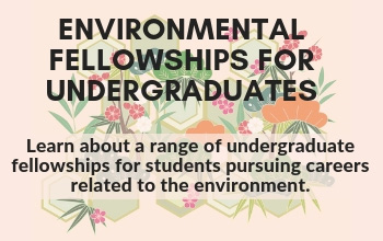 Environmental Fellowships for Undergrads event image