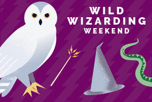 wild wizarding weekend