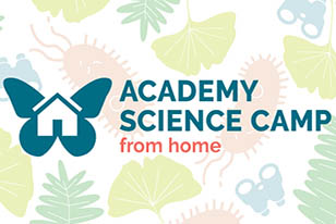 science camp from home