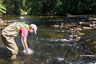 Scientist collecting water from a river with a bucket