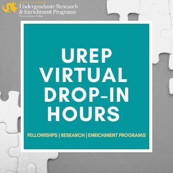 UREP Virtual Drop in Hours. Fellowshps. Research. Enrichment Programs.