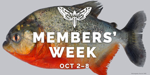 Member's Week Logo over a photo of a fish