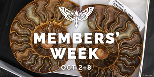 Member's Week Logo with a photo of shells