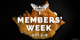 Member's Week Logo with a photo of a gem