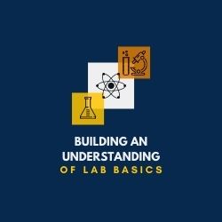 Building an Understanding of Lab Basics