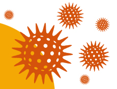 Images of the coronavirus