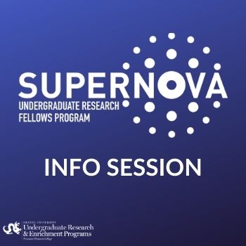 SuperNova Undergraduate Research Fellows Program Info Session