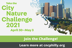 Take the city nature challenge 2021