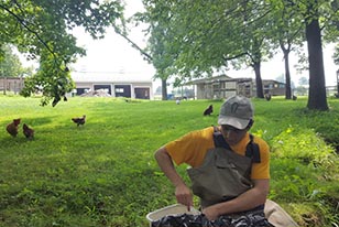 young male scientist writes in notebook in front of green field and chicken