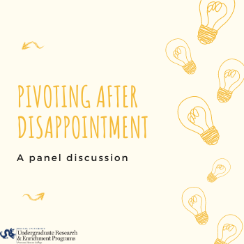 Pivoting after disasppointment: a panel discussion