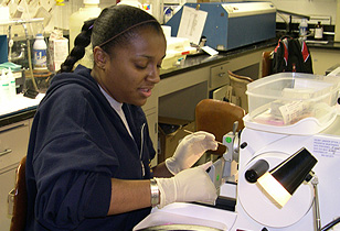 A student sitting at a lab bench with a microscope