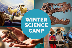 Winter Science Camp