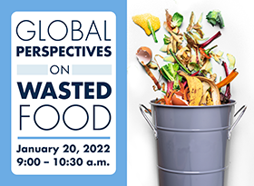 Global Perspectives on Wasted Food
