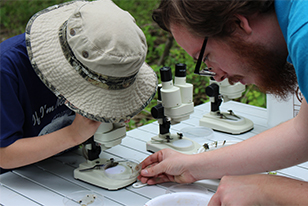 A person looking through a microscope while another person is assisting.