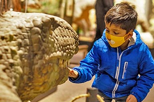 A child looking at a prehistoric creature