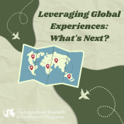 Leveraging Global Experiences: What's Next?