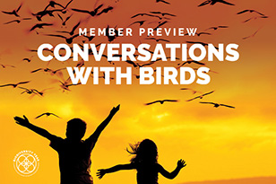 Members Preview Conversations With Birds