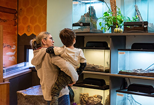 Woman holding up child to show them insects in glass enclosures.