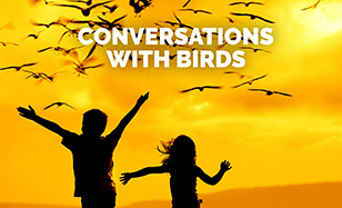 Conversations With Birds