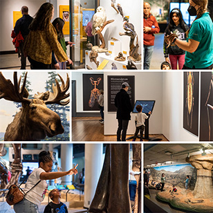 collage of images featuring woman and child looking at bird exhibit, moose