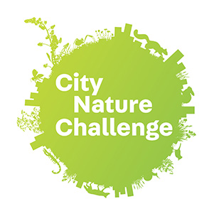 City Nature Challenge
