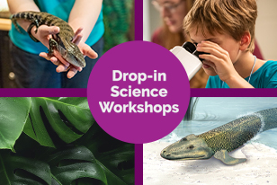 Drop-in Science Workshops
