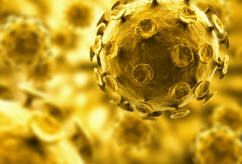 Yellow virus
