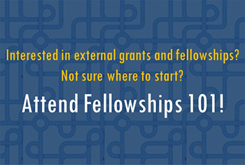 Fellowships 101 image