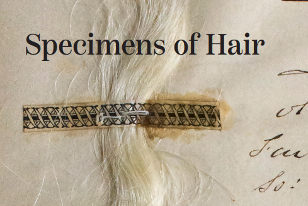 specimens of hair