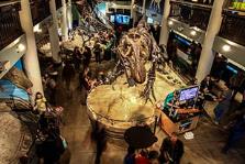 Dinos After Dark: March 24 - Preregistration SOLD OUT image